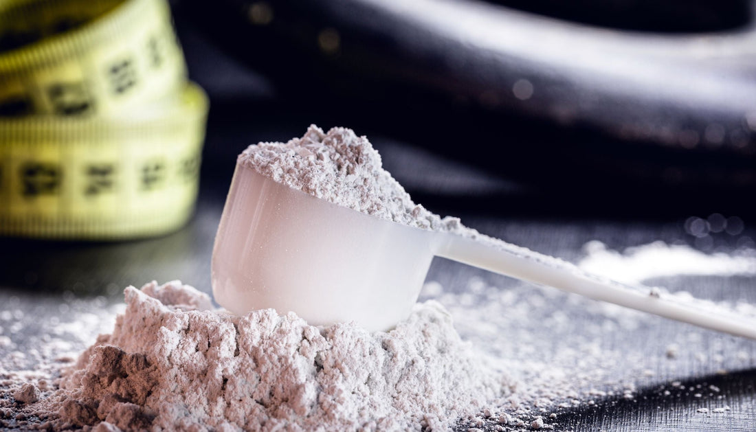 Can Creatine Cause Hair Loss? Debunking Common Creatine Myths and More…