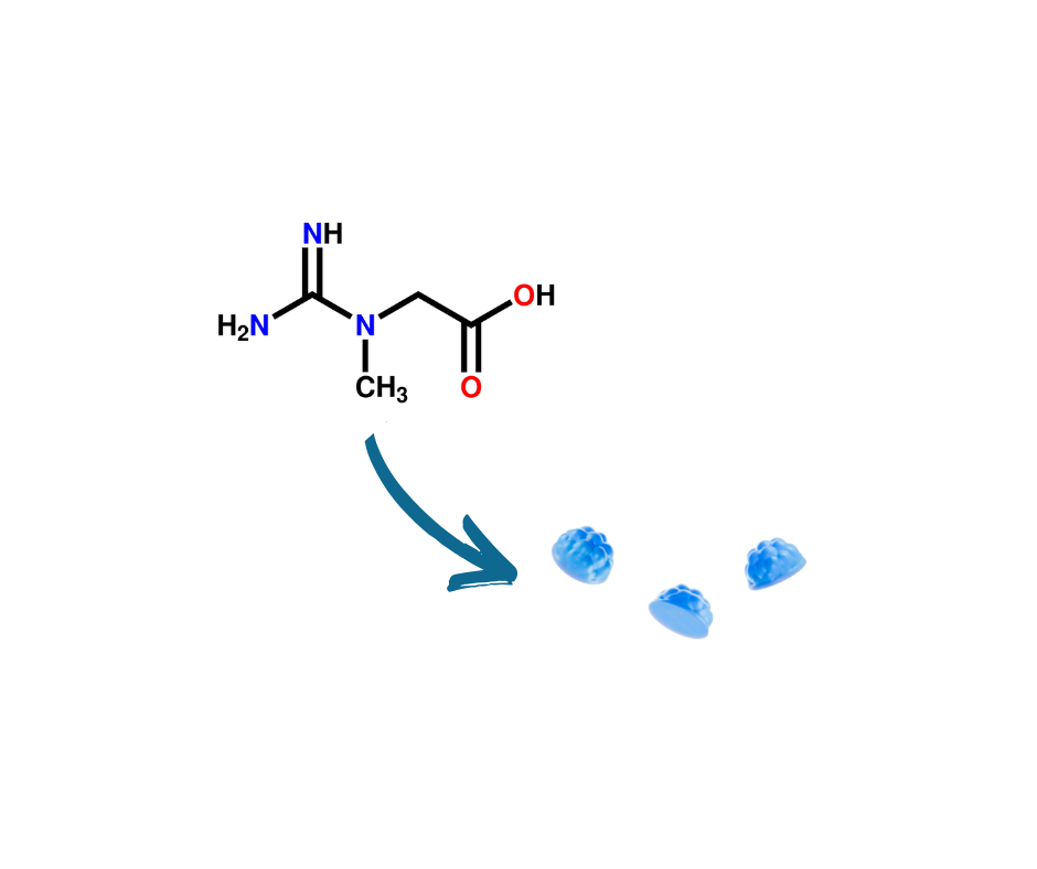 Why Everyone Should Be Taking Creatine, Not Just Bodybuilders